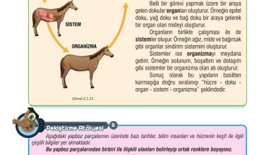 7. Sınıf Meb Yayınları Fen Bilimleri Ders Kitabı Sayfa 53 Cevapları