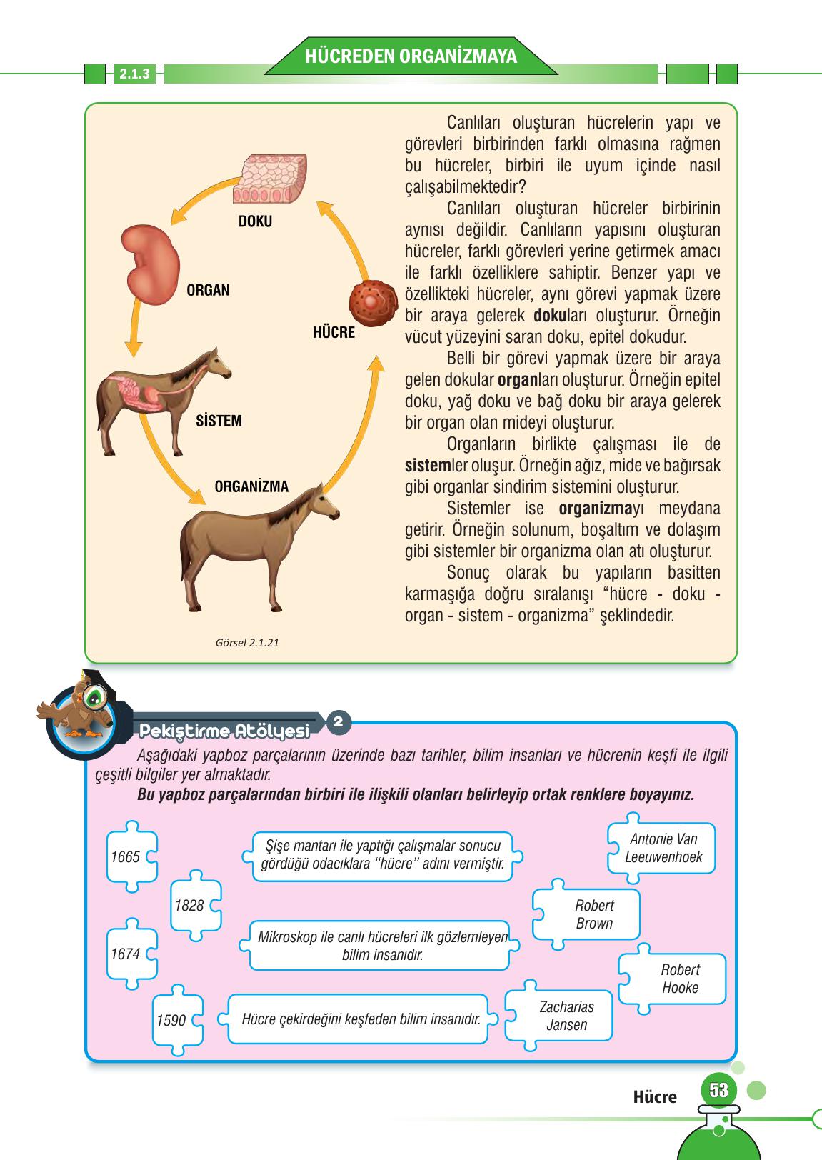 7. Sınıf Meb Yayınları Fen Bilimleri Ders Kitabı Sayfa 53 Cevapları