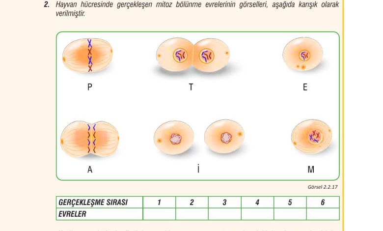 7. Sınıf Meb Yayınları Fen Bilimleri Ders Kitabı Sayfa 61 Cevapları