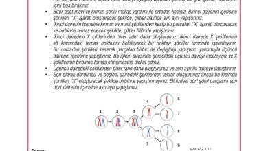 7. Sınıf Meb Yayınları Fen Bilimleri Ders Kitabı Sayfa 66 Cevapları