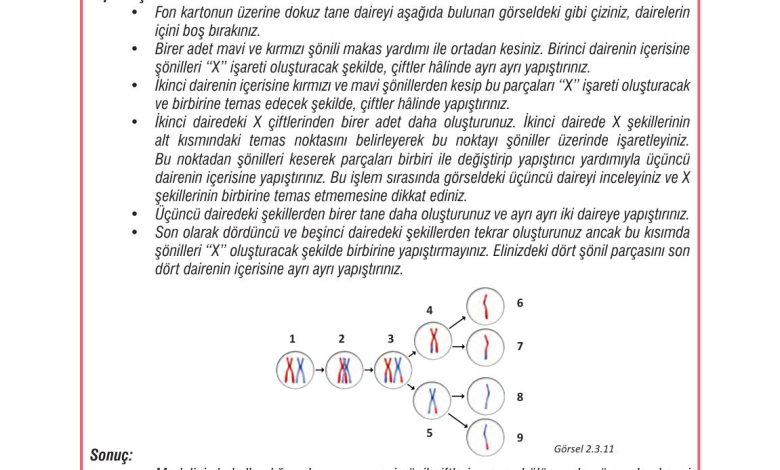 7. Sınıf Meb Yayınları Fen Bilimleri Ders Kitabı Sayfa 66 Cevapları