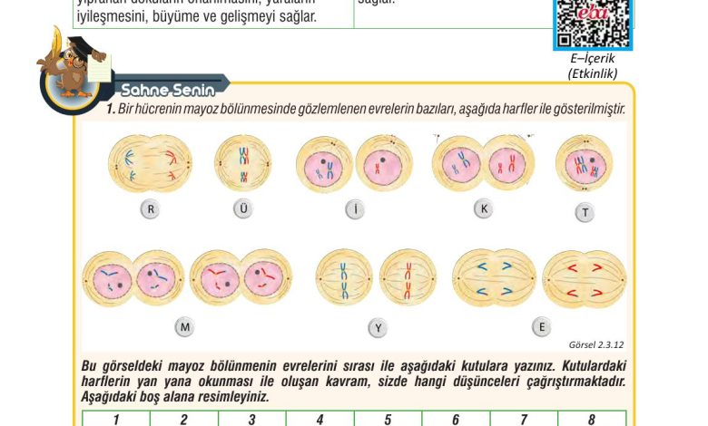 7. Sınıf Meb Yayınları Fen Bilimleri Ders Kitabı Sayfa 67 Cevapları