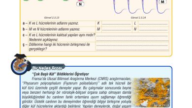 7. Sınıf Meb Yayınları Fen Bilimleri Ders Kitabı Sayfa 68 Cevapları