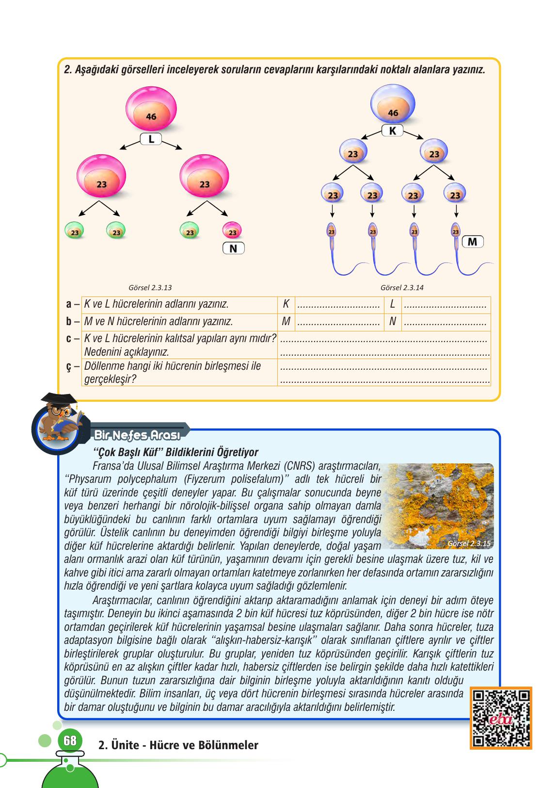 7. Sınıf Meb Yayınları Fen Bilimleri Ders Kitabı Sayfa 68 Cevapları