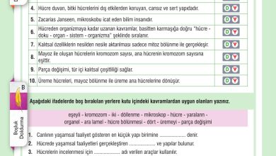 7. Sınıf Meb Yayınları Fen Bilimleri Ders Kitabı Sayfa 69 Cevapları