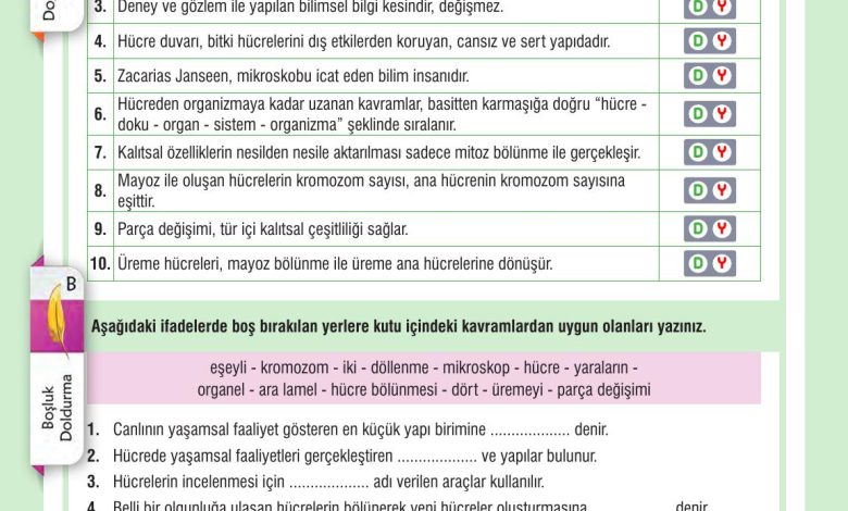 7. Sınıf Meb Yayınları Fen Bilimleri Ders Kitabı Sayfa 69 Cevapları