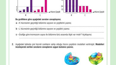 7. Sınıf Meb Yayınları Fen Bilimleri Ders Kitabı Sayfa 70 Cevapları