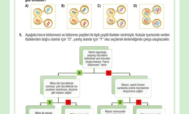 7. Sınıf Meb Yayınları Fen Bilimleri Ders Kitabı Sayfa 72 Cevapları