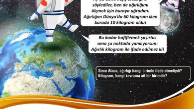 7. Sınıf Meb Yayınları Fen Bilimleri Ders Kitabı Sayfa 74 Cevapları