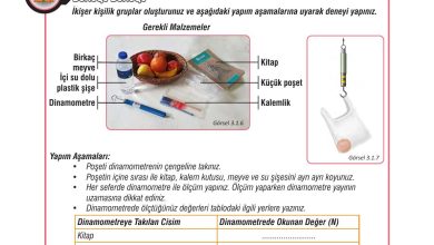 7. Sınıf Meb Yayınları Fen Bilimleri Ders Kitabı Sayfa 76 Cevapları