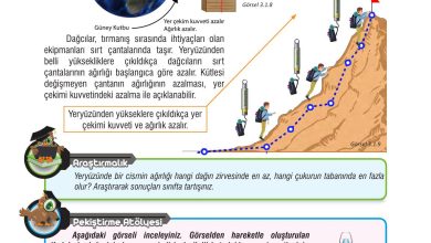 7. Sınıf Meb Yayınları Fen Bilimleri Ders Kitabı Sayfa 77 Cevapları