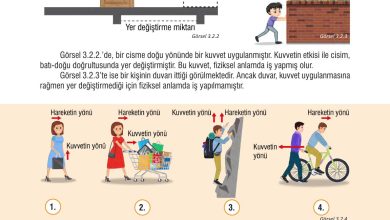 7. Sınıf Meb Yayınları Fen Bilimleri Ders Kitabı Sayfa 81 Cevapları