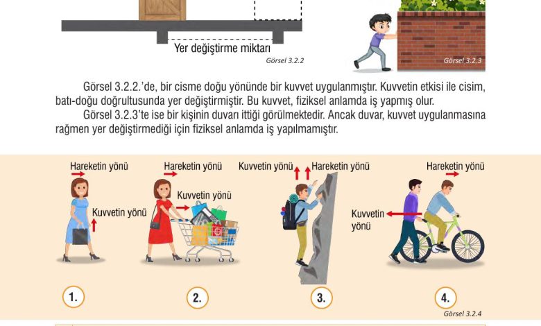 7. Sınıf Meb Yayınları Fen Bilimleri Ders Kitabı Sayfa 81 Cevapları