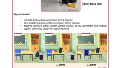 7. Sınıf Meb Yayınları Fen Bilimleri Ders Kitabı Sayfa 82 Cevapları