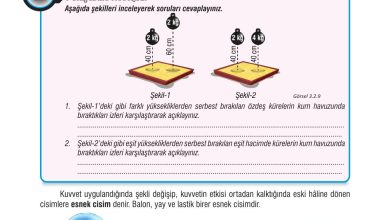 7. Sınıf Meb Yayınları Fen Bilimleri Ders Kitabı Sayfa 84 Cevapları