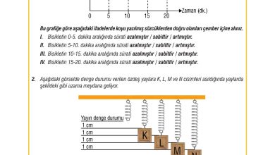 7. Sınıf Meb Yayınları Fen Bilimleri Ders Kitabı Sayfa 85 Cevapları