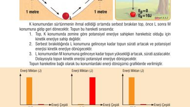 7. Sınıf Meb Yayınları Fen Bilimleri Ders Kitabı Sayfa 87 Cevapları