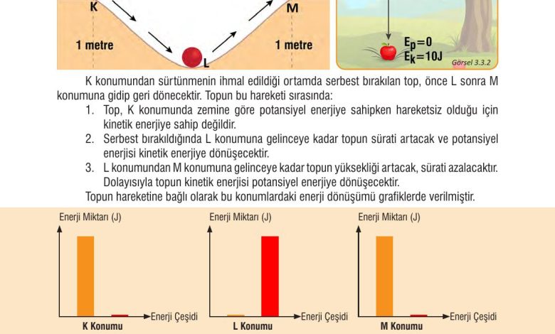 7. Sınıf Meb Yayınları Fen Bilimleri Ders Kitabı Sayfa 87 Cevapları