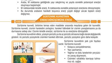 7. Sınıf Meb Yayınları Fen Bilimleri Ders Kitabı Sayfa 89 Cevapları