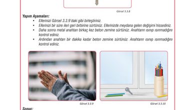 7. Sınıf Meb Yayınları Fen Bilimleri Ders Kitabı Sayfa 90 Cevapları