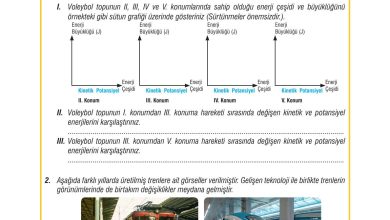 7. Sınıf Meb Yayınları Fen Bilimleri Ders Kitabı Sayfa 93 Cevapları