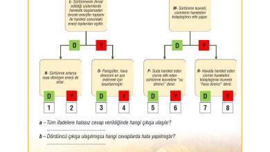 7. Sınıf Meb Yayınları Fen Bilimleri Ders Kitabı Sayfa 94 Cevapları