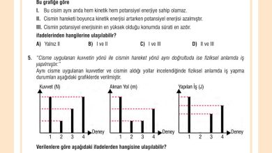 7. Sınıf Meb Yayınları Fen Bilimleri Ders Kitabı Sayfa 98 Cevapları