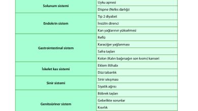 9. Sınıf Meb Yayınları Sağlık Bilgisi Ve Trafik Kültürü Ders Kitabı Sayfa 58 Cevapları