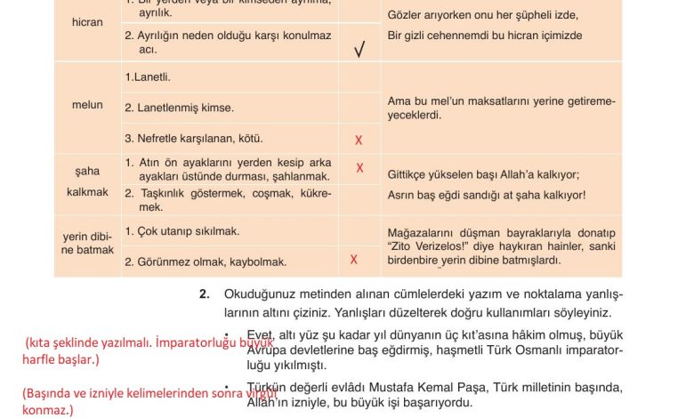 9. Sınıf Meb Yayınları Türkçe Ders Kitabı Sayfa 102 Cevapları