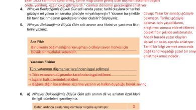 9. Sınıf Meb Yayınları Türkçe Ders Kitabı Sayfa 103 Cevapları