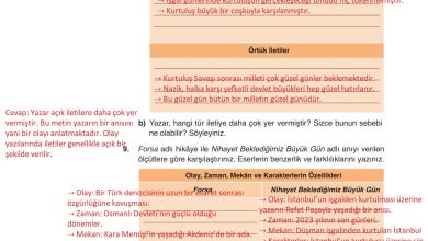 9. Sınıf Meb Yayınları Türkçe Ders Kitabı Sayfa 104 Cevapları