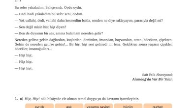 9. Sınıf Meb Yayınları Türkçe Ders Kitabı Sayfa 86 Cevapları