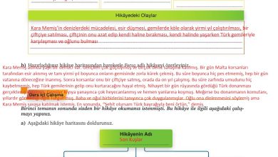 9. Sınıf Meb Yayınları Türkçe Ders Kitabı Sayfa 88 Cevapları