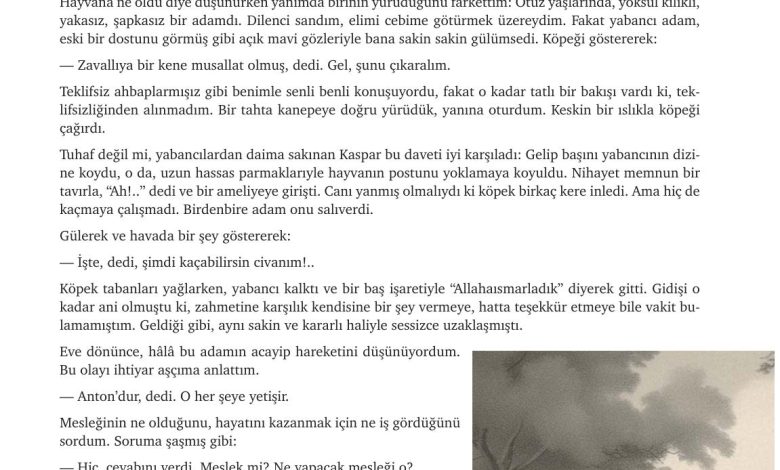 9. Sınıf Meb Yayınları Türkçe Ders Kitabı Sayfa 92 Cevapları