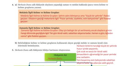 9. Sınıf Meb Yayınları Türkçe Ders Kitabı Sayfa 95 Cevapları