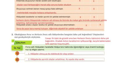 9. Sınıf Meb Yayınları Türkçe Ders Kitabı Sayfa 97 Cevapları